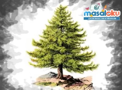 çam ağacı masalı