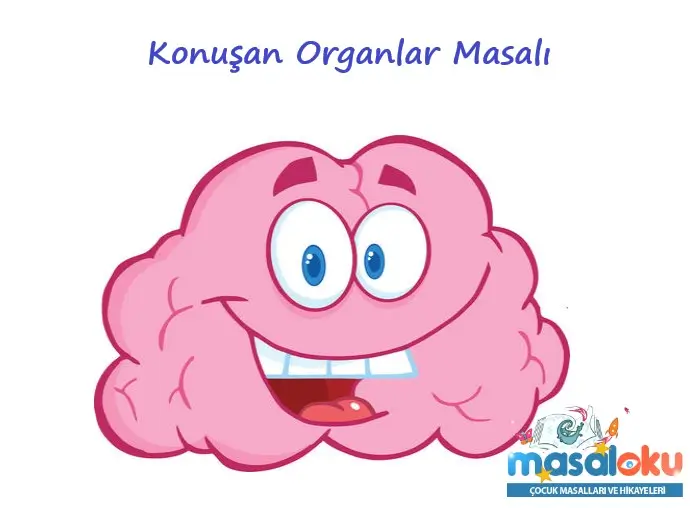 Gece Konuşan Organlar