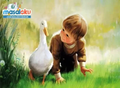 şampiyon ördek